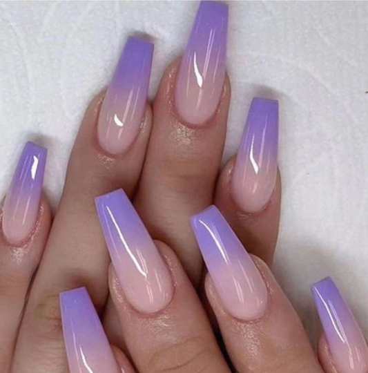 Lavender Paradise Press On Nails